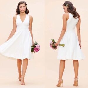 Dress The Population Catalina Fit & Flare V-Neck Sleeveless Crepe Dress XS